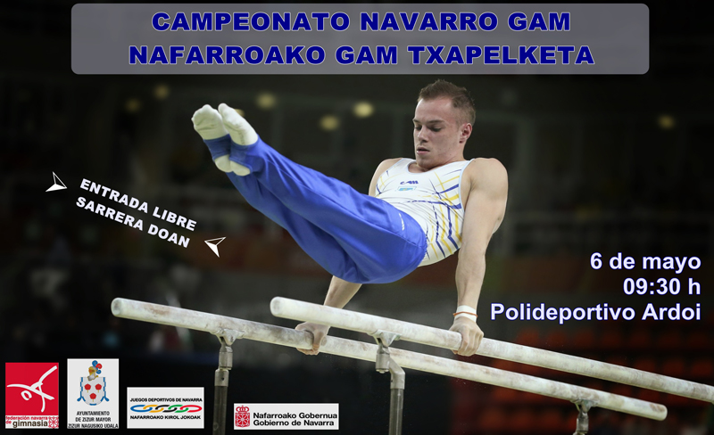 Campeonato Navarro de Gimnasia Art&iacute;stica Masculina